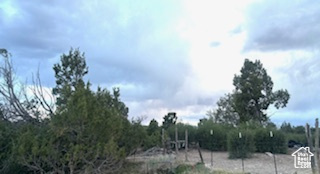 View of local wilderness