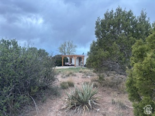 View of yard featuring a carport