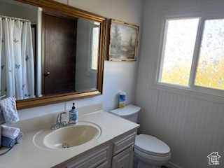 Bathroom with plenty of natural light, toilet, vanity, and a shower with curtain