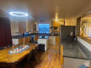 Kitchen with stainless steel appliances and light wood finished floors