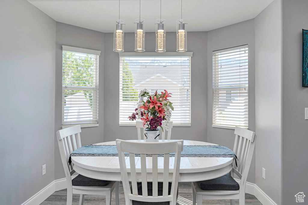 Dining area with baseboards and wood finished floors