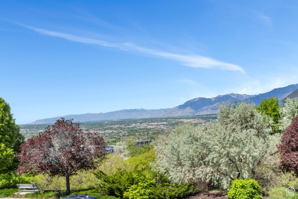 Mountain view