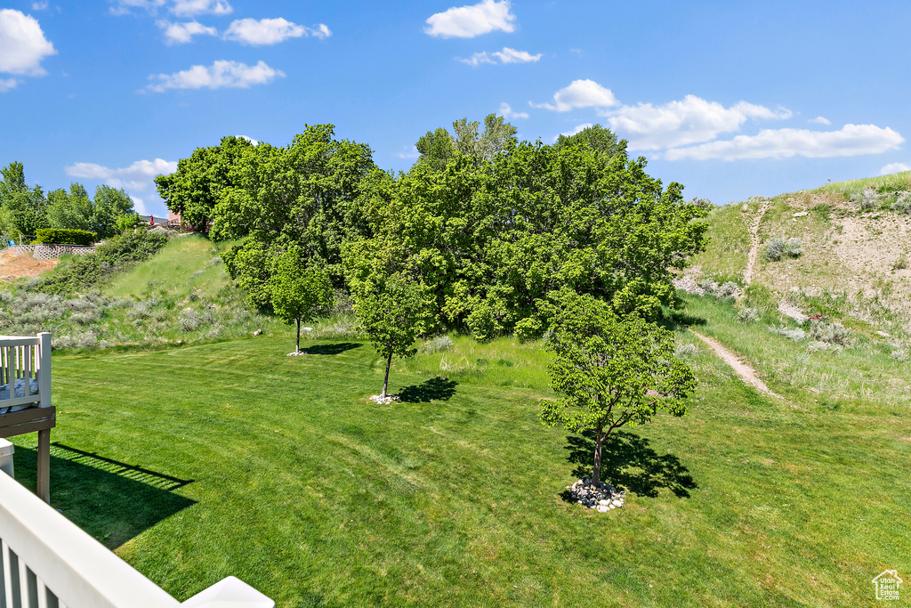 View of grassy yard
