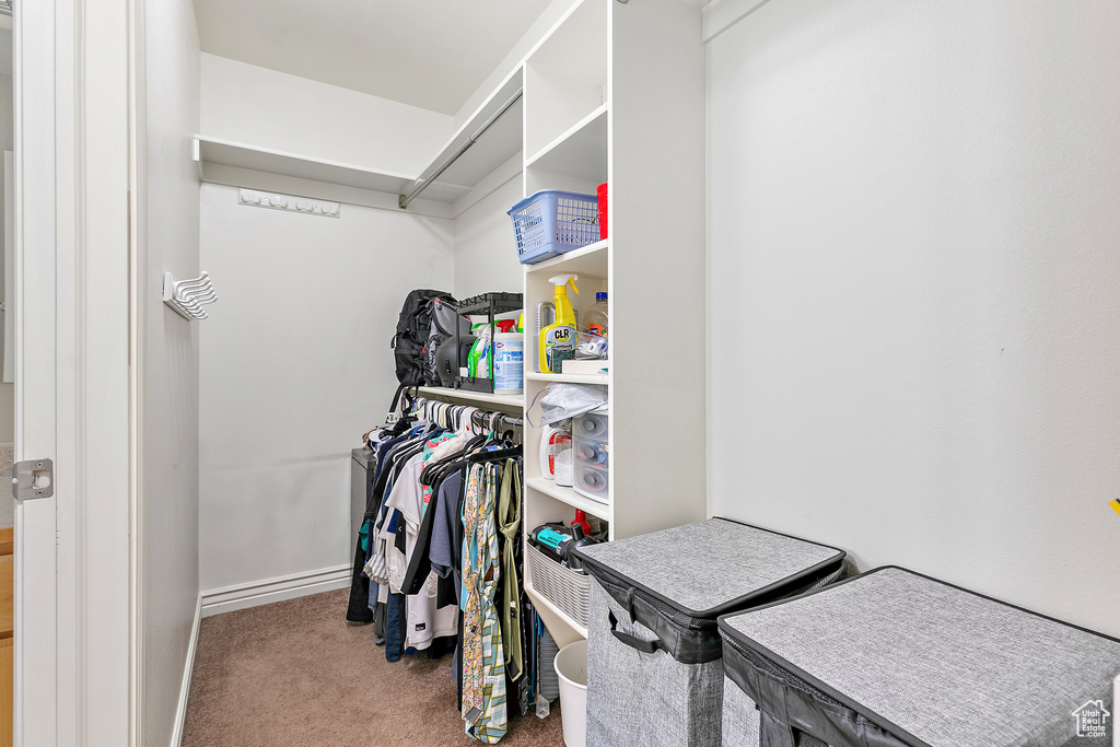 Spacious closet with carpet floors