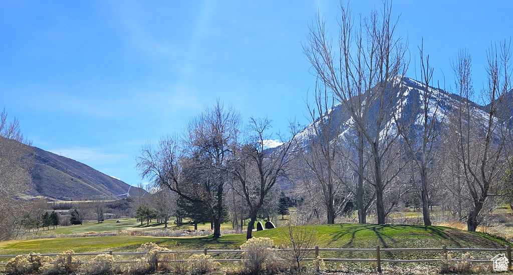 View of mountain background