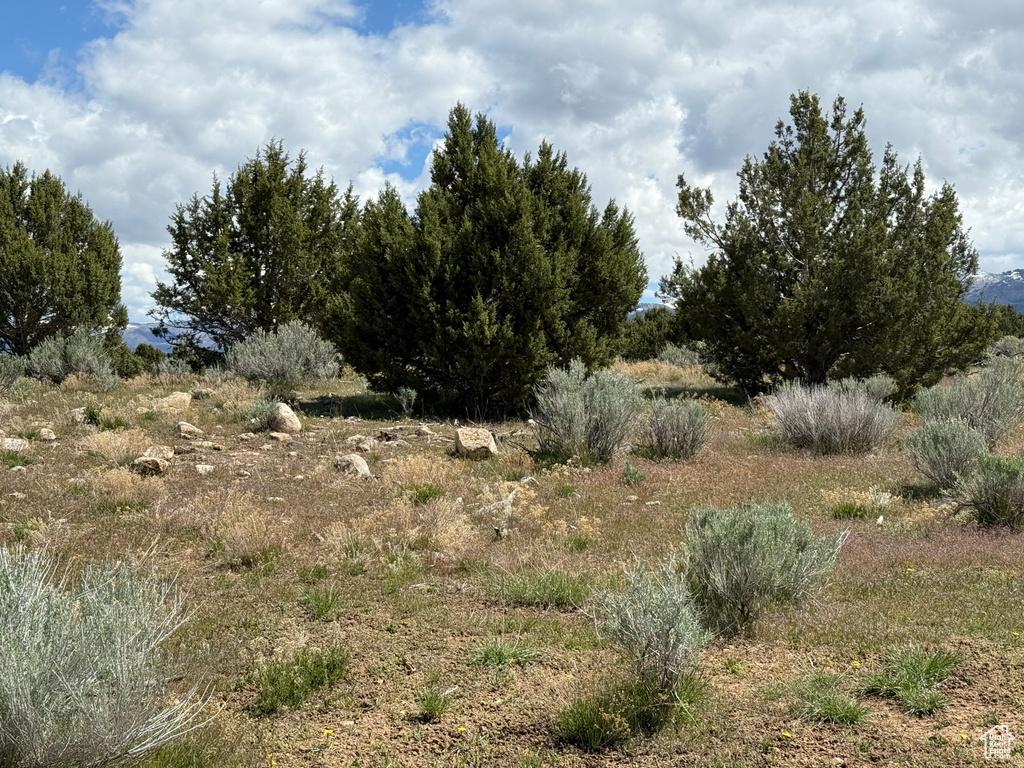 View of nature