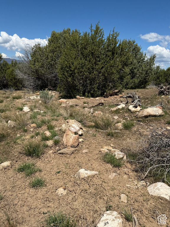 View of undeveloped land