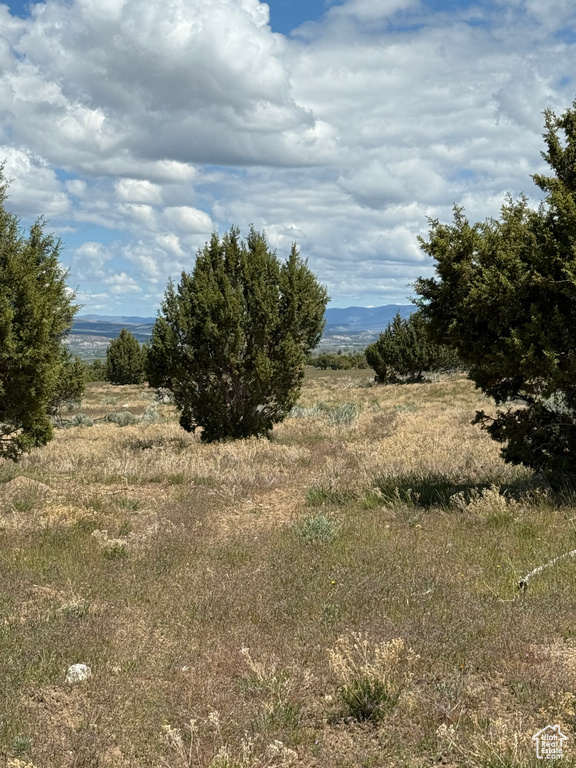 View of nature
