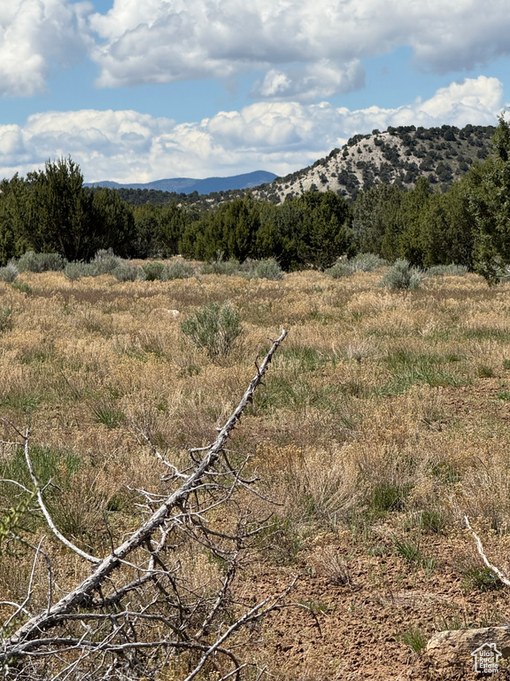 View of mountain background