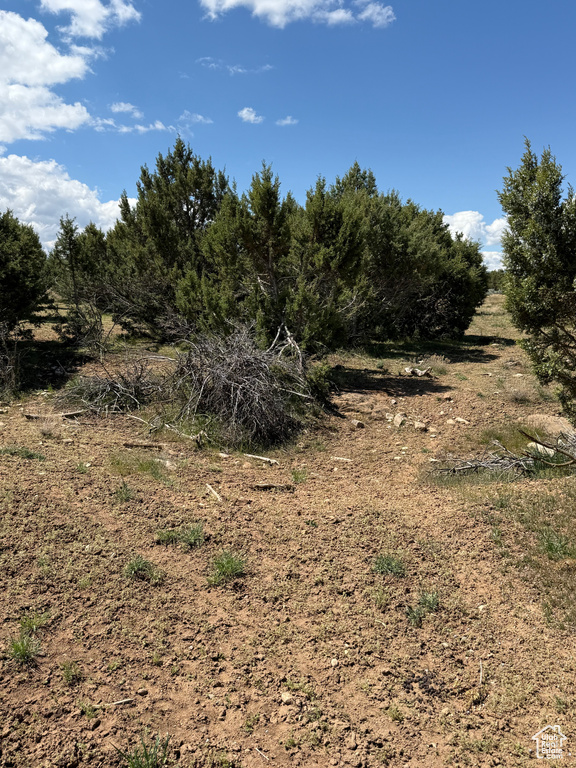 View of nature