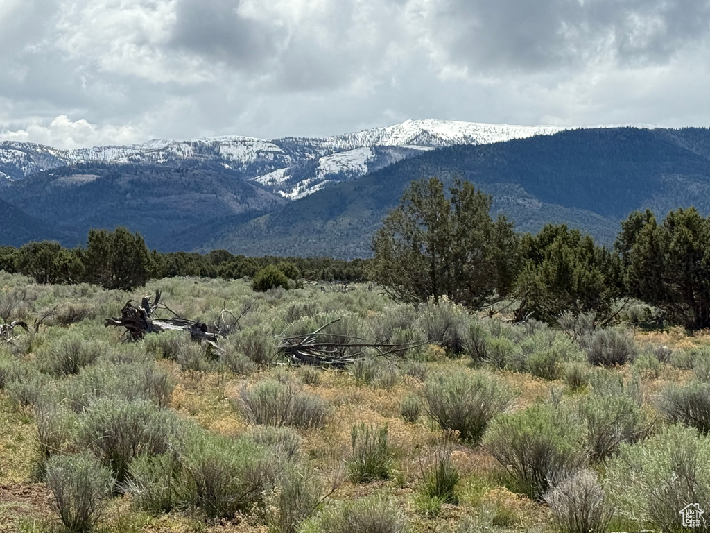 View of mountain background