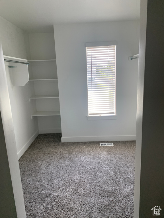 Walk in closet with carpet and visible vents
