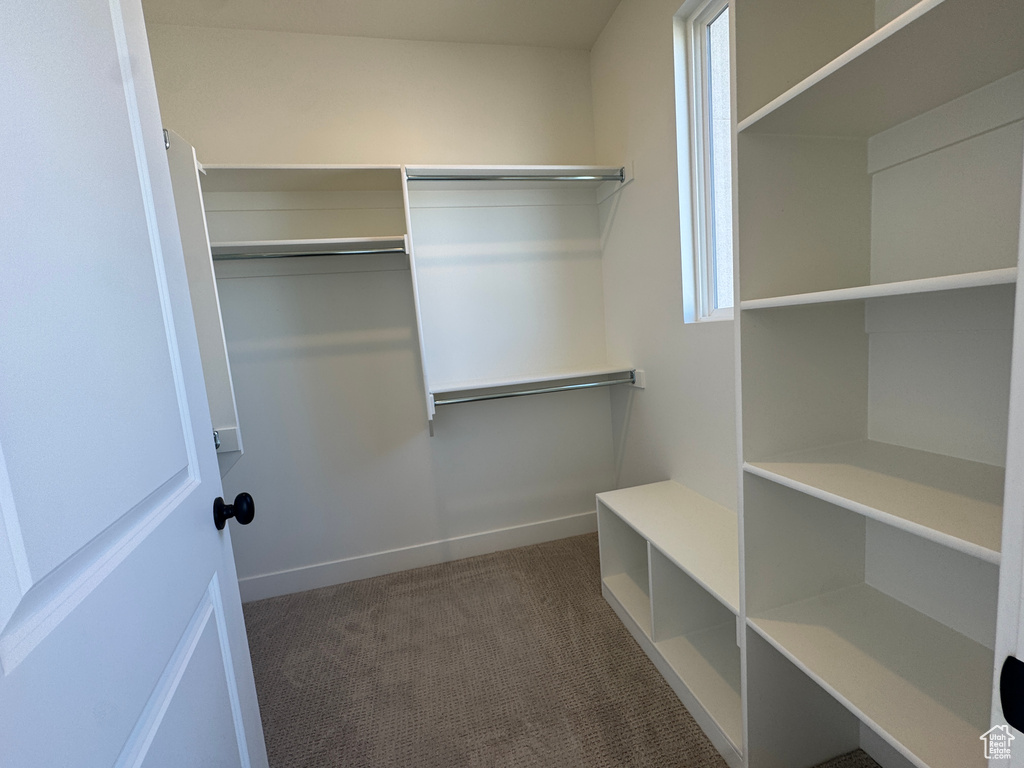 Spacious closet featuring carpet floors