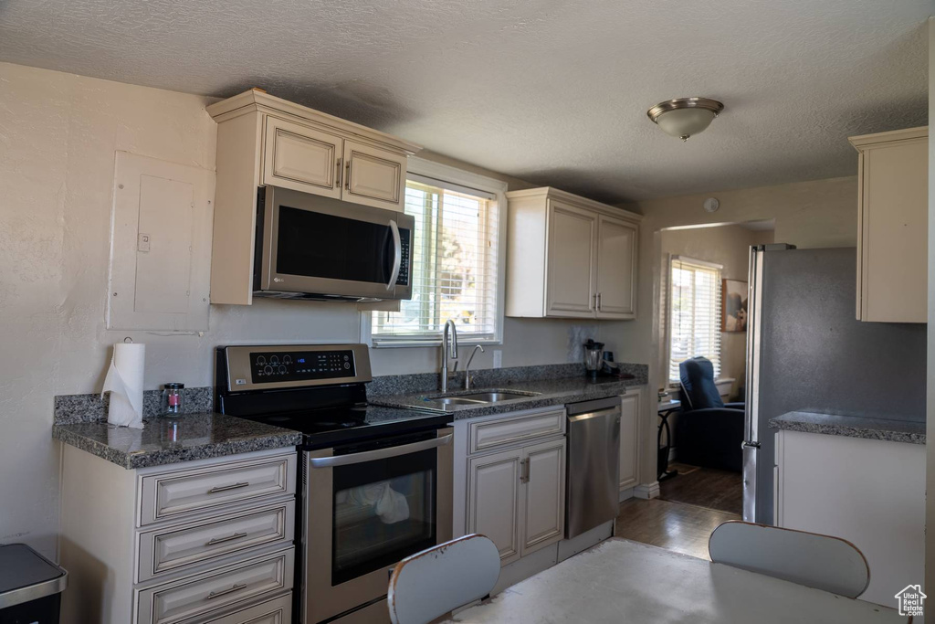 Kitchen with a sink, cream cabinetry, stainless steel appliances, and a wealth of natural light
