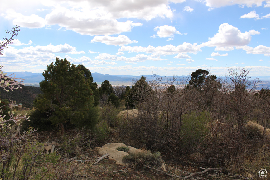 View of mountain background