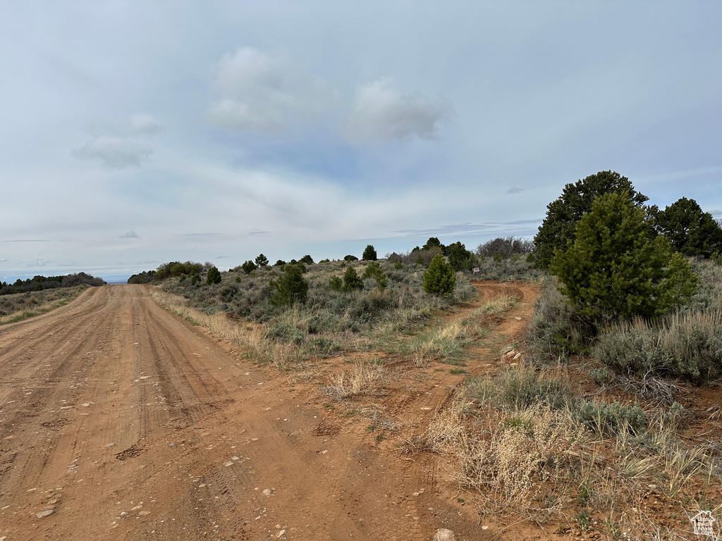 View of dirt / gravel road featuring a view of rural / pastoral area