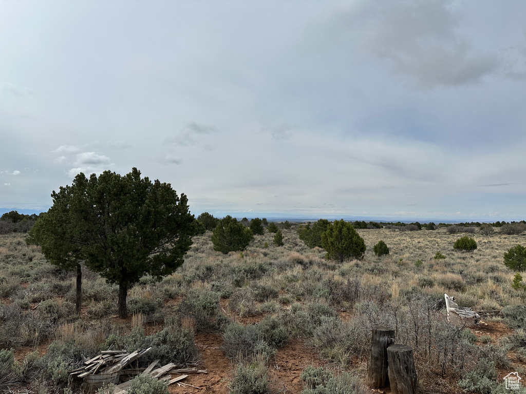 View of undeveloped land