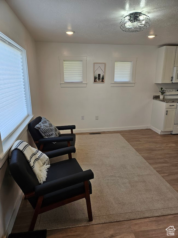 Sitting room with wood finished floors, a textured ceiling, plenty of natural light, baseboards, and recessed lighting