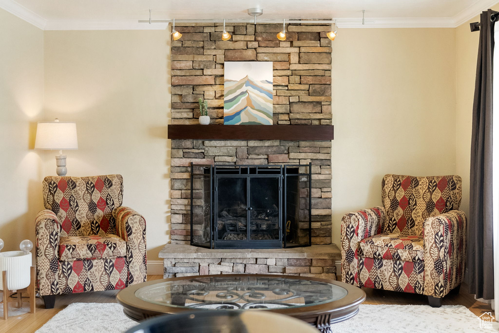 Living area featuring wood finished floors, track lighting, crown molding, and a fireplace