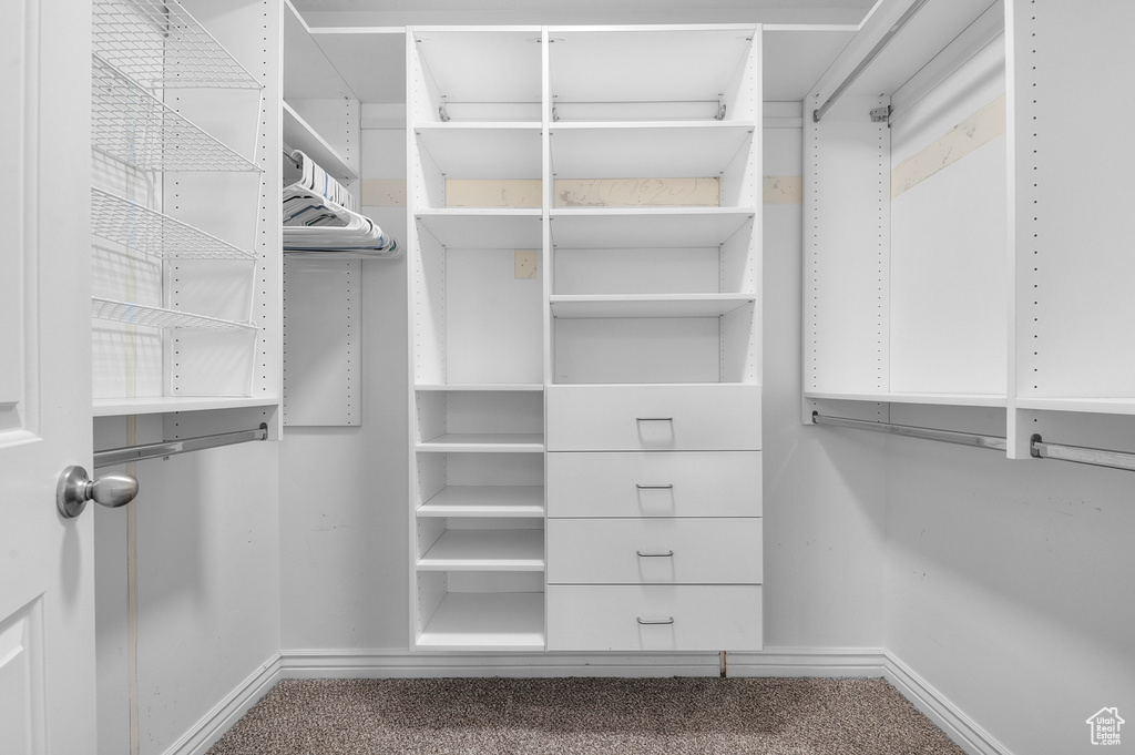 Walk in closet with carpet