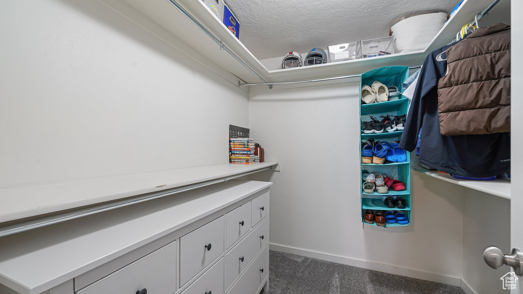 Spacious closet featuring dark colored carpet