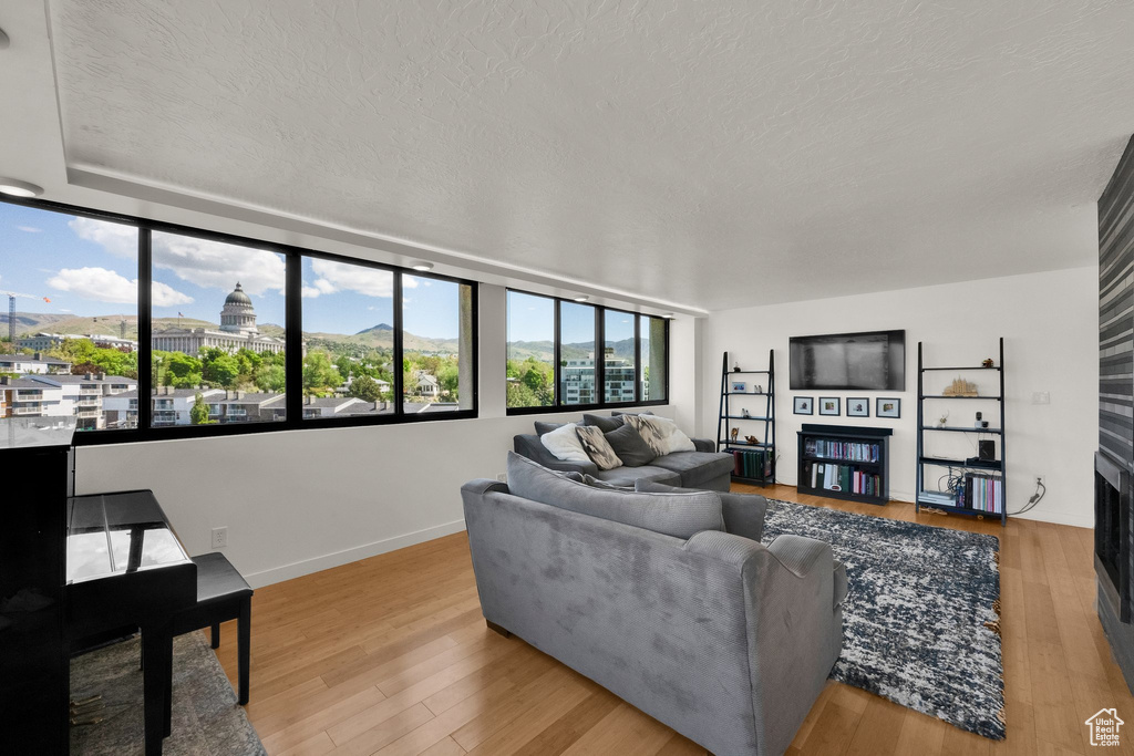 Living area featuring a fireplace, a textured ceiling, wood finished floors, and baseboards