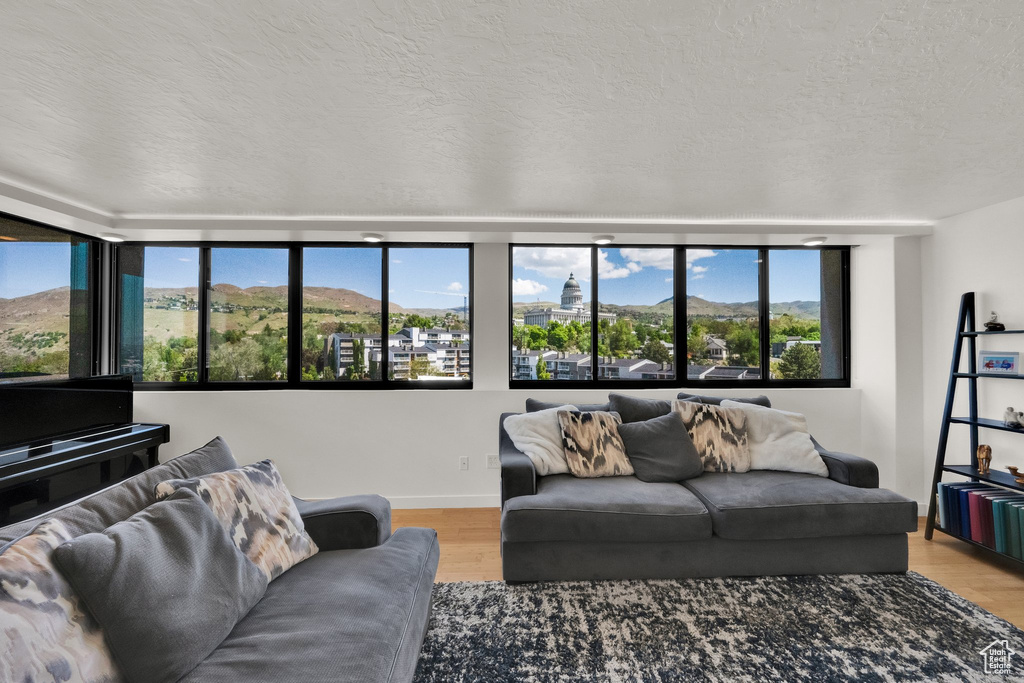 Living room featuring wood finished floors, baseboards, a textured ceiling, and a mountain view