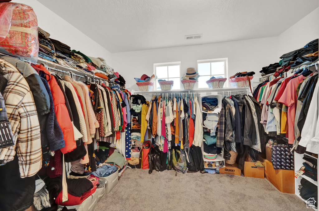 Spacious closet featuring carpet