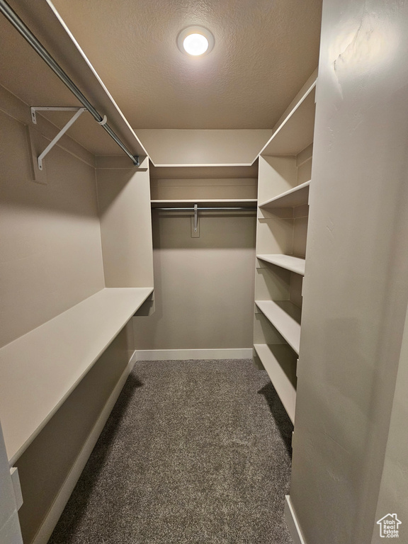 Spacious closet with carpet