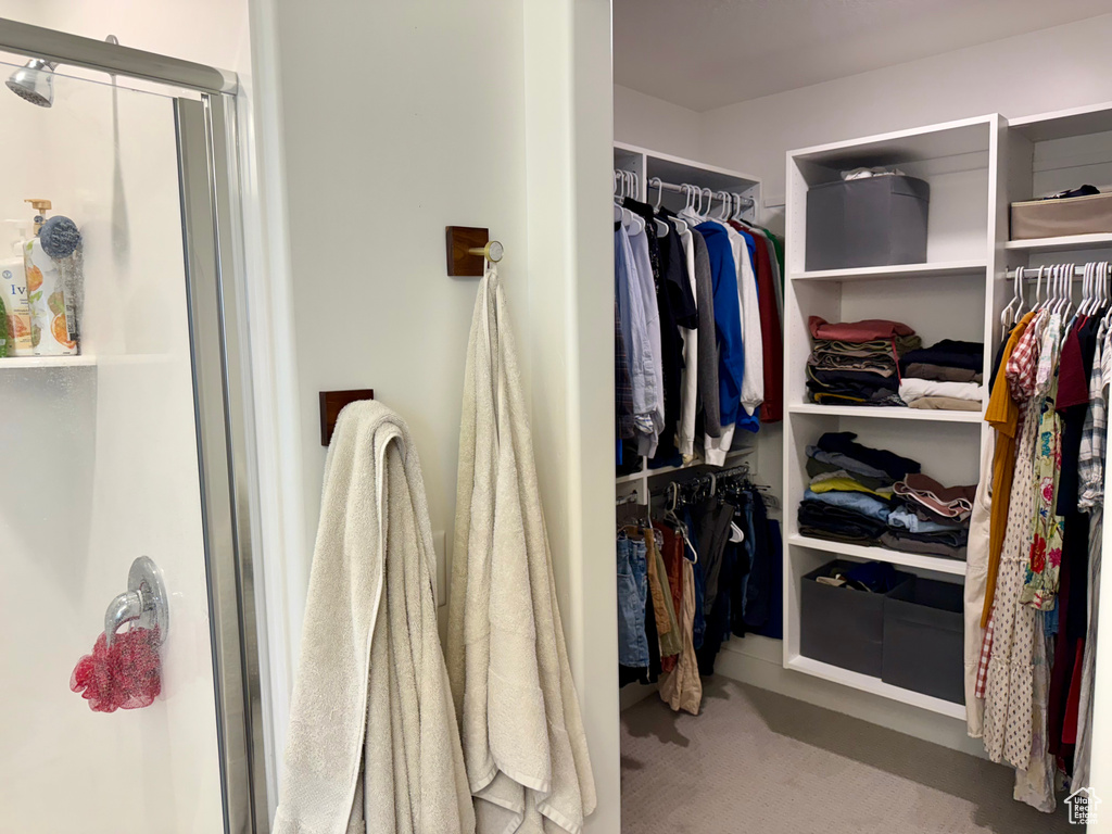 Spacious closet featuring carpet flooring