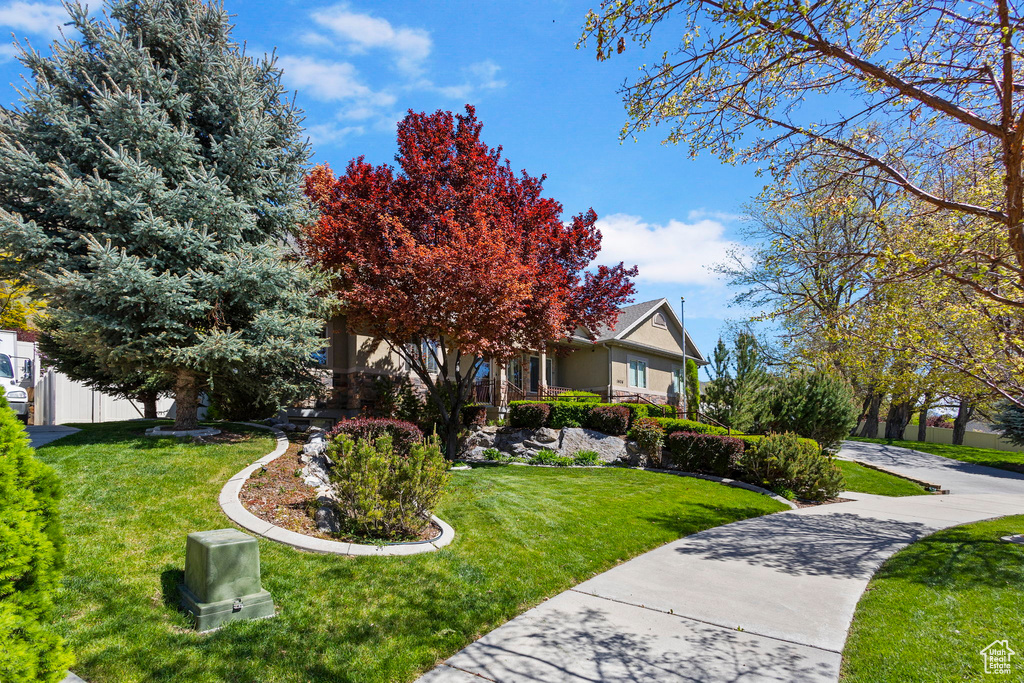 Obstructed view of property featuring fence and a front lawn