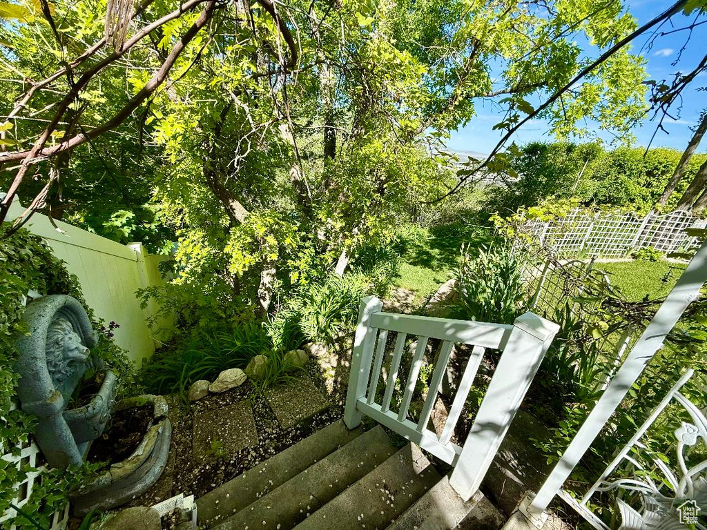 View of fenced backyard
