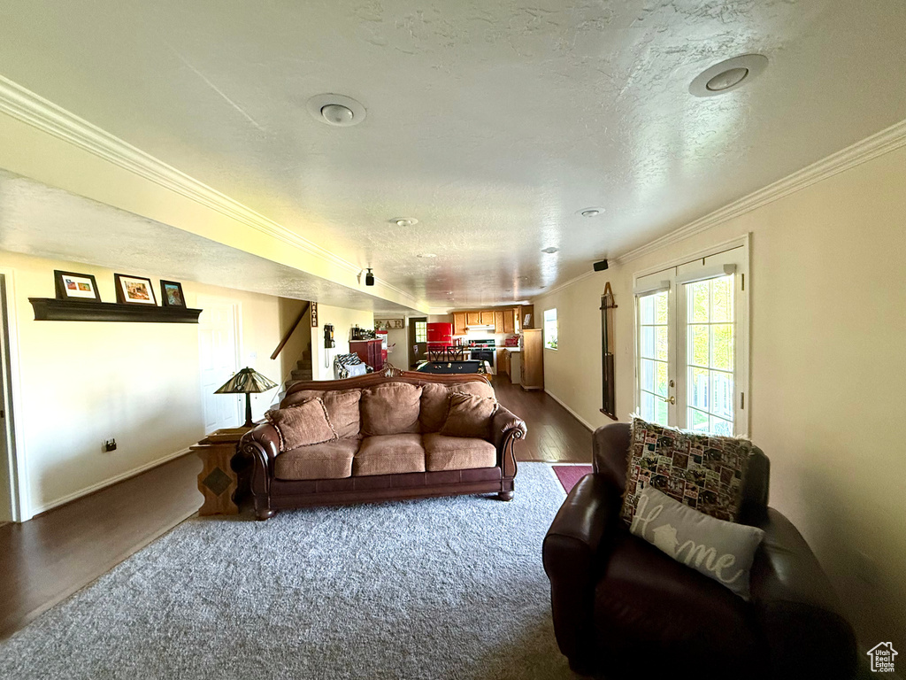 Living room featuring crown molding, stairway, baseboards, a textured ceiling, and dark wood-type flooring