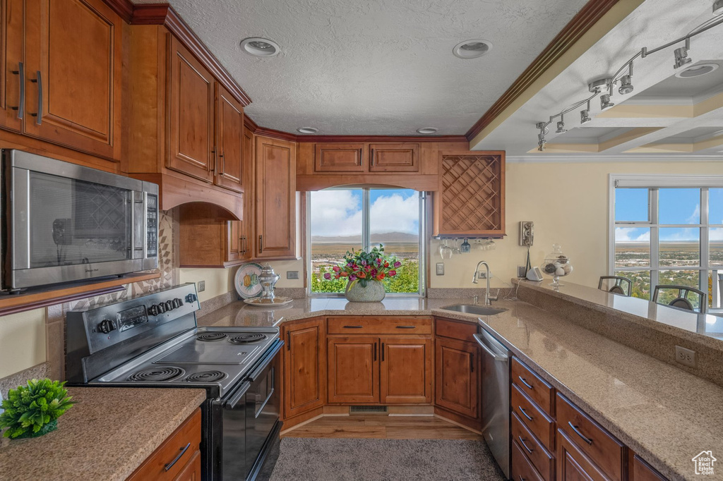 Kitchen featuring appliances with stainless steel finishes, a sink, crown molding, healthy amount of natural light, and brown cabinets