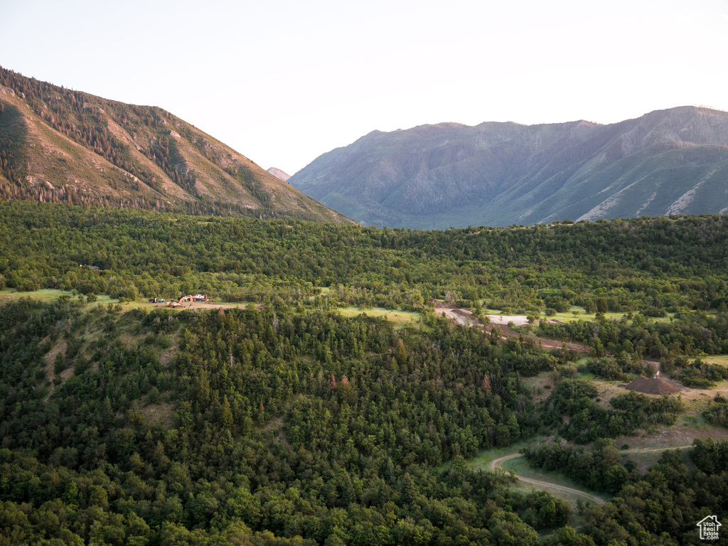 View of mountain background with a forest