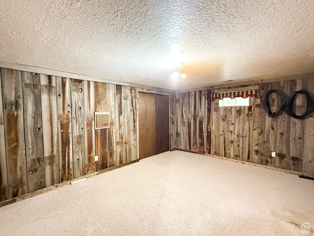 Basement featuring wooden walls, carpet flooring, and a textured ceiling