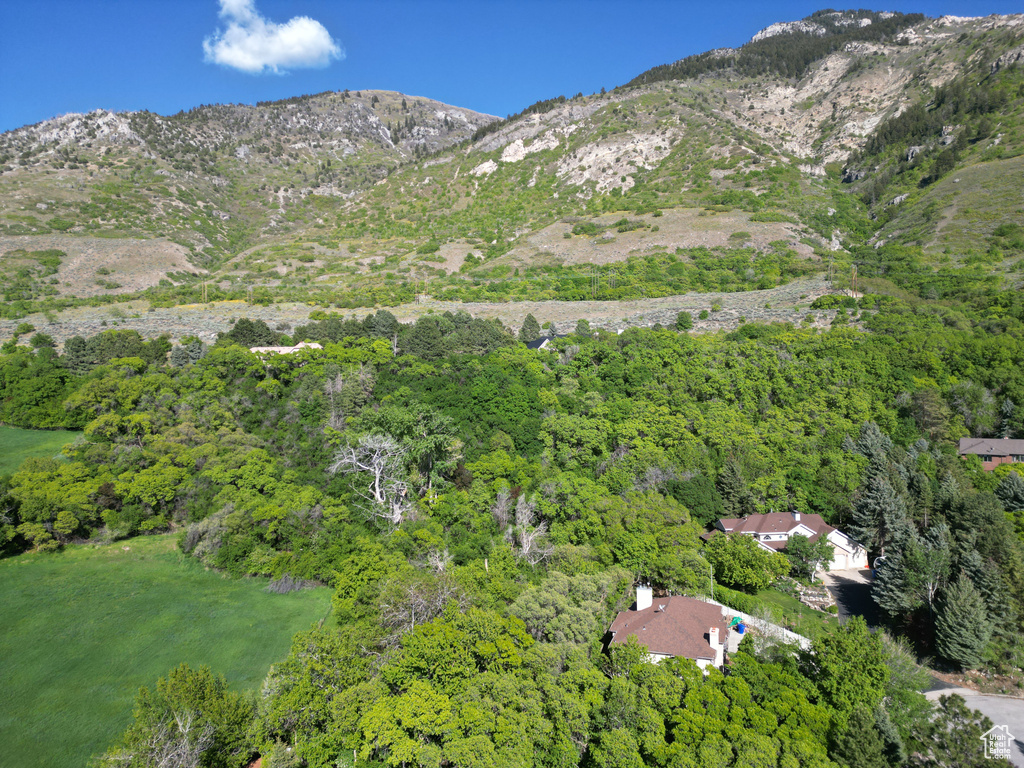 View of mountain background with a heavily wooded area