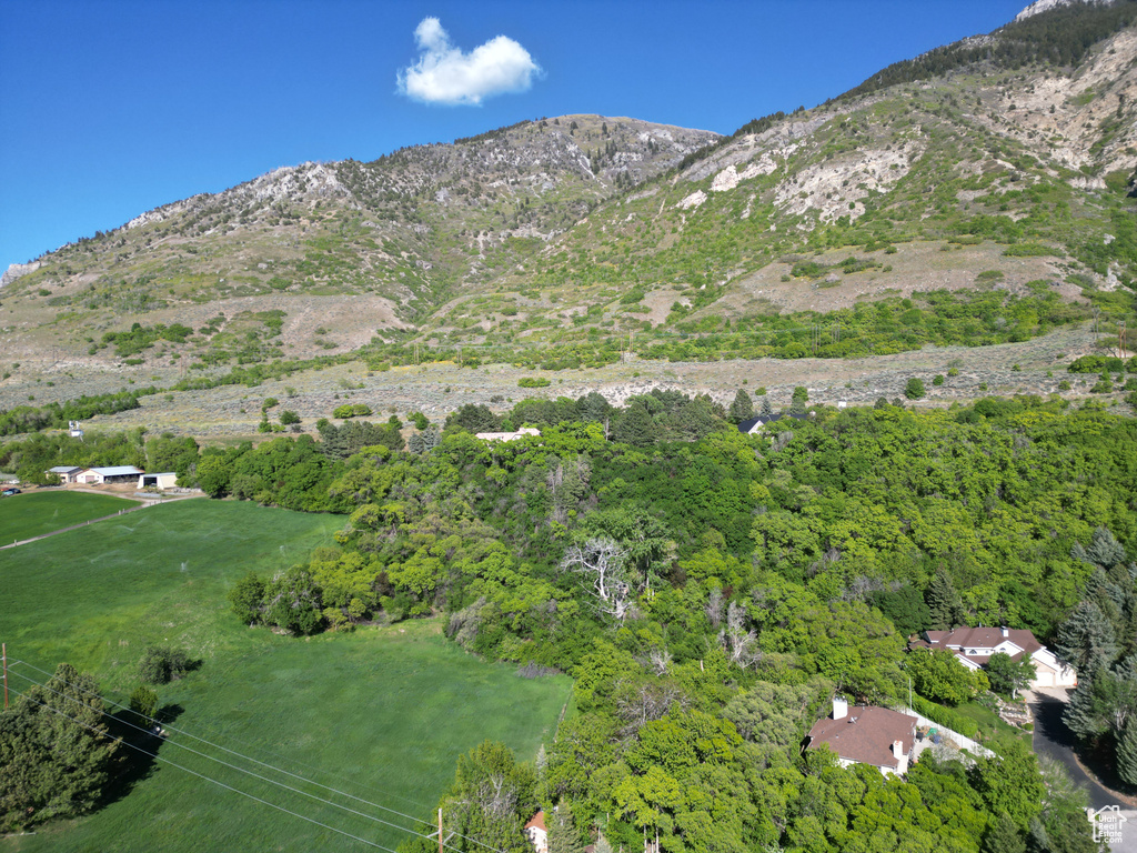 View of mountain background