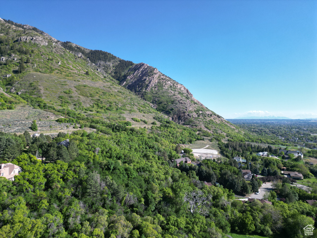View of mountain backdrop featuring a heavily wooded area