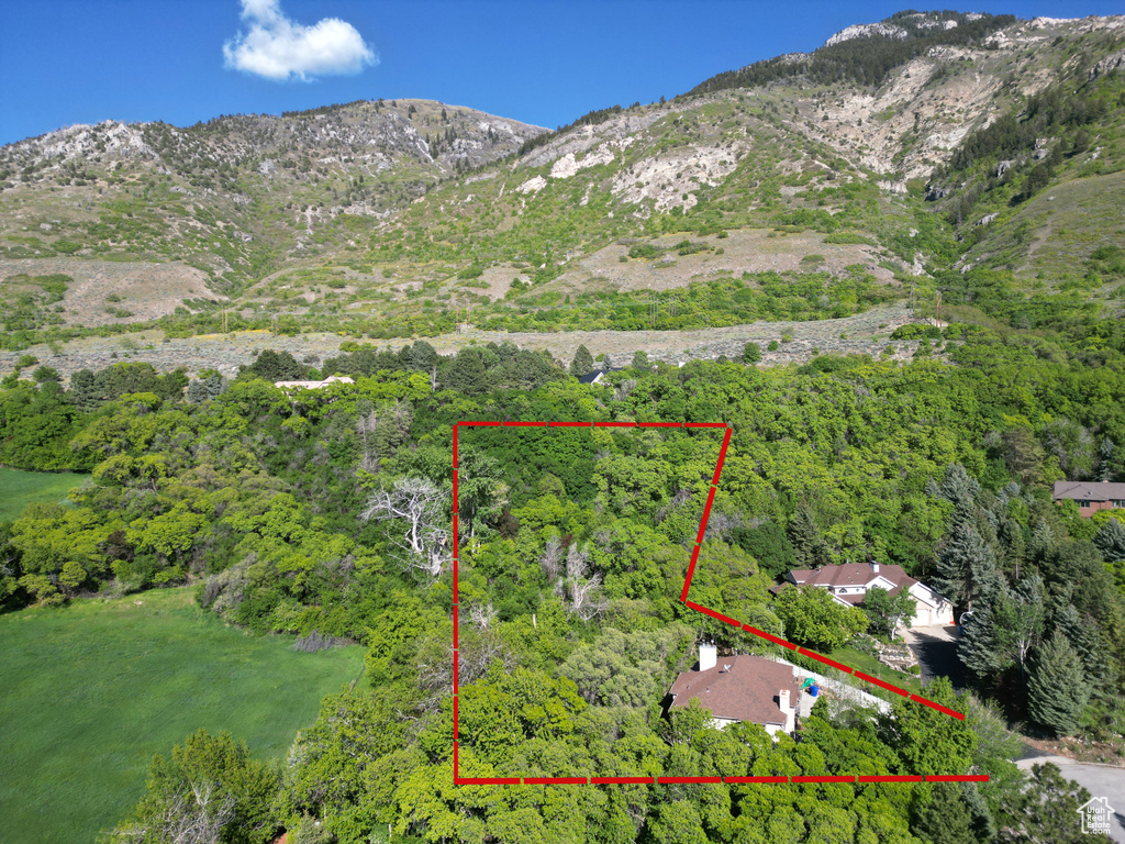 Aerial view of property and surrounding area with property parcel outlined, a forest, and mountains