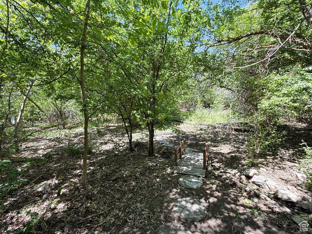 View of undeveloped land