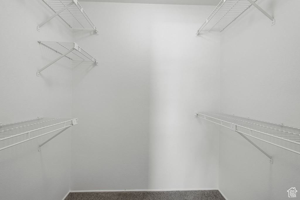 Spacious closet with carpet floors
