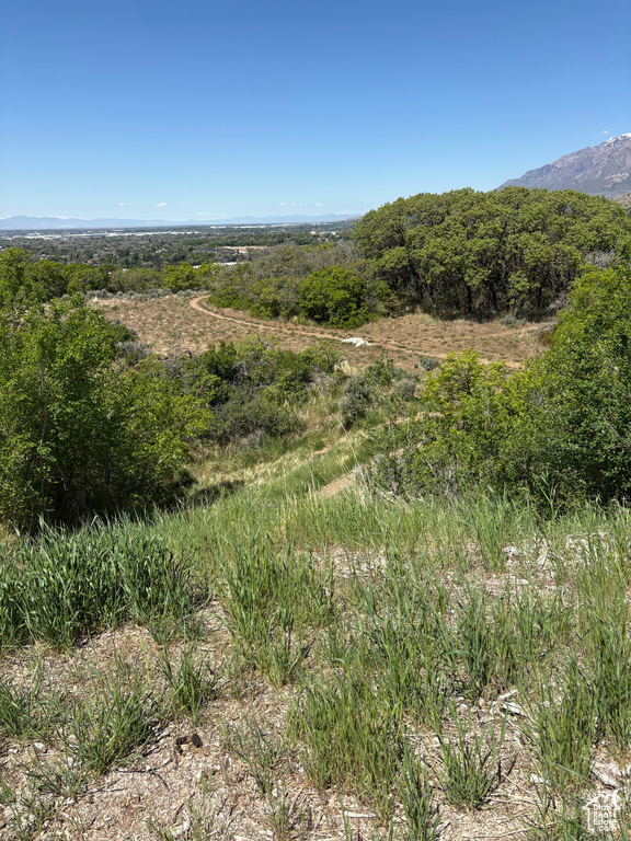 View of local wilderness featuring mountains