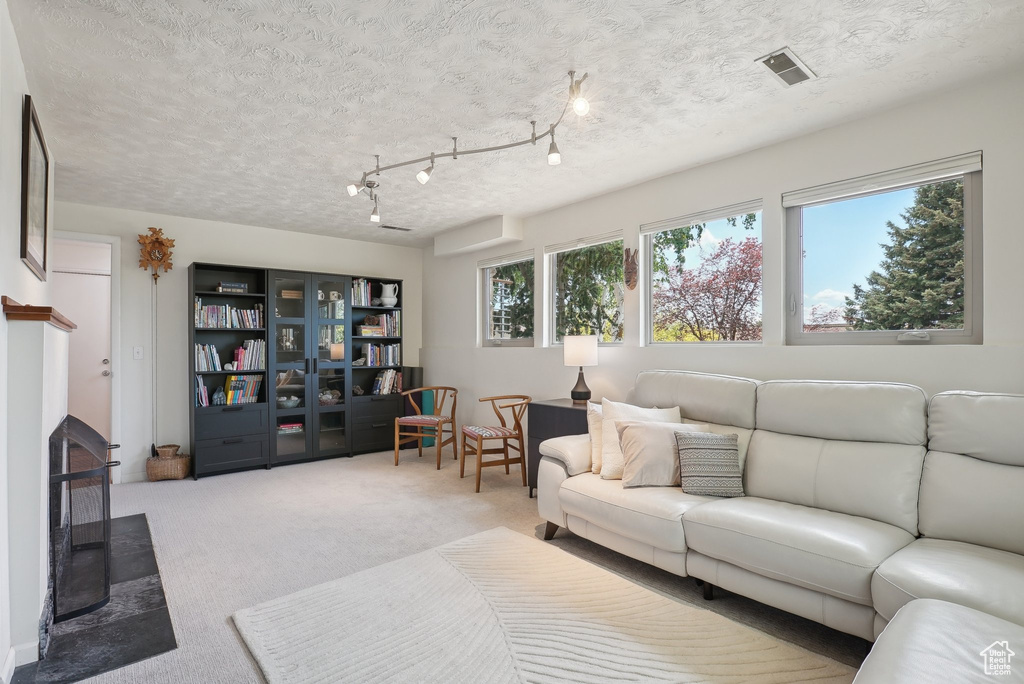 Carpeted living room with a textured ceiling and a wood stove