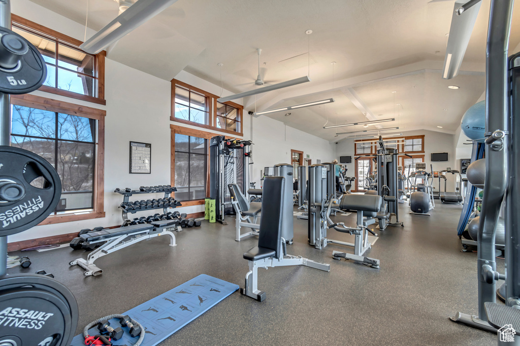 Exercise room featuring a ceiling fan and high vaulted ceiling