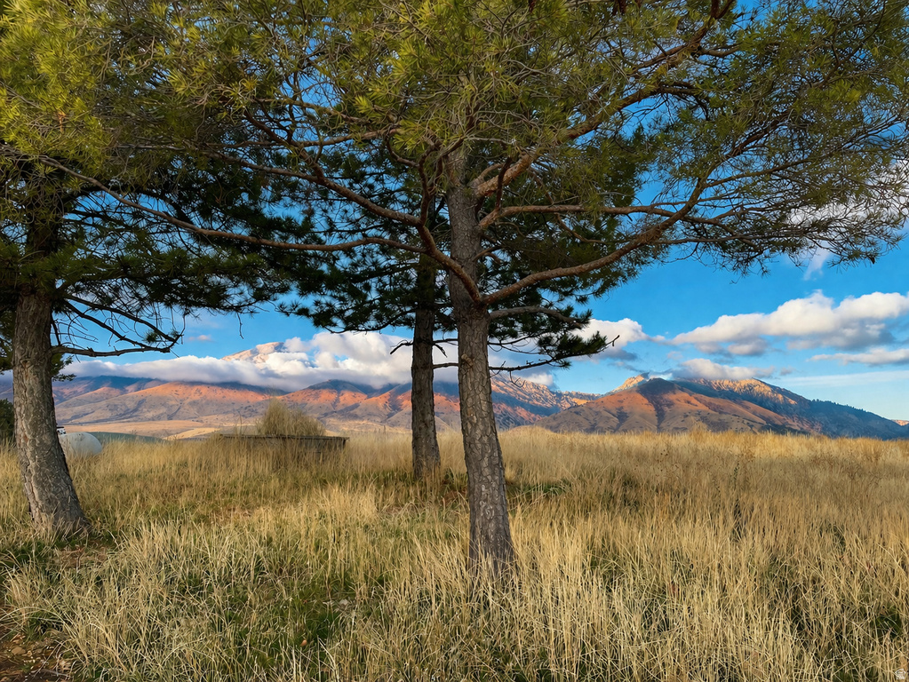 8410 S 890 E Paradise, UT 84328