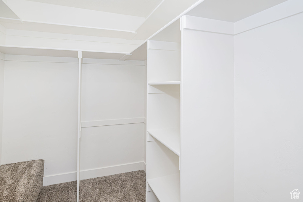 Spacious closet featuring carpet floors