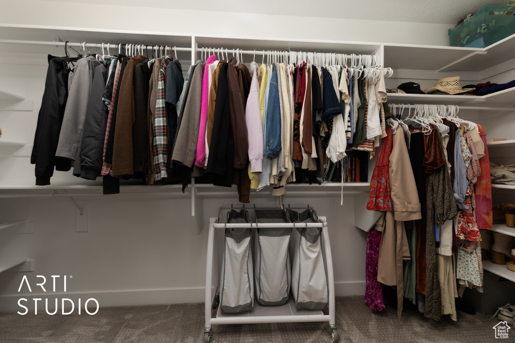 Spacious closet with carpet floors