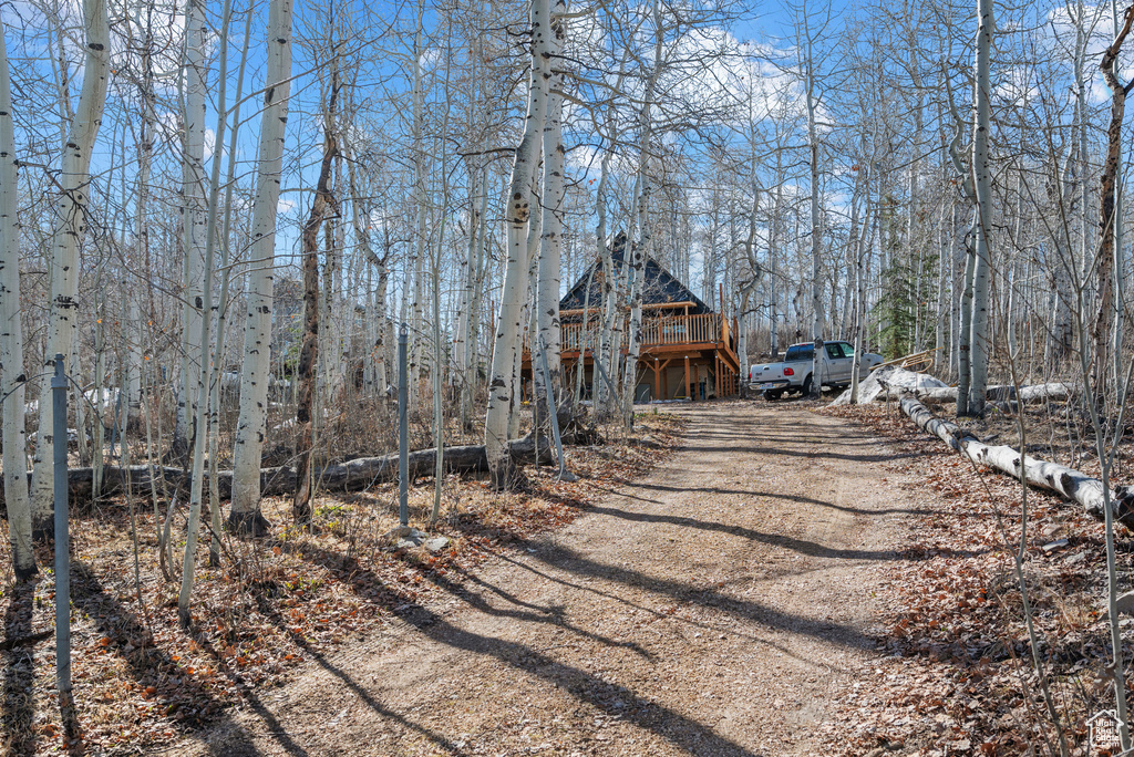 View of dirt / gravel driveway