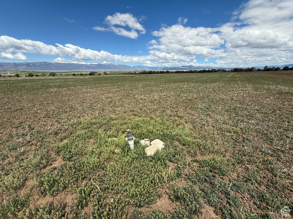 View of green lawn with a view of rural / pastoral area